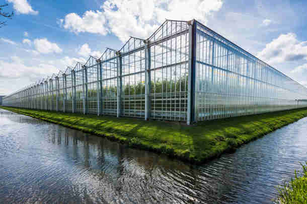 Berenschot en Kalavasta berekenen nieuwe CO2-heffingshoogte glastuinbouw Berenschot en Kalavasta berekenen nieuwe CO2-heffingshoogte glastuinbouw