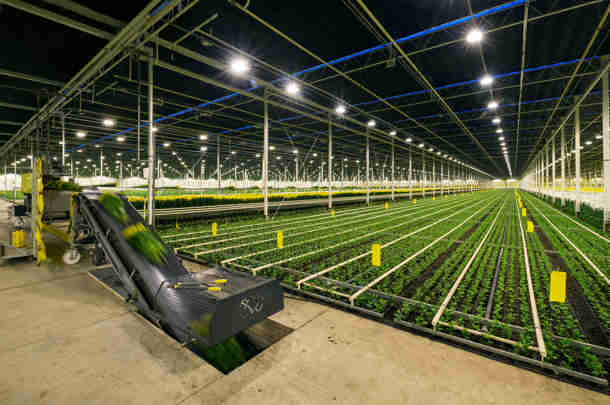 Nieuwe strategische positionering op weg naar succes Nieuwe strategische positionering op weg naar succes