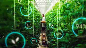 Afbeelding - AgroBOTS: Een visie op de toekomst van de landbouw