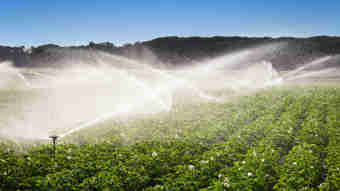 Afbeelding - Berenschot onderzoekt impact en kosten van zoetwatertekorten 