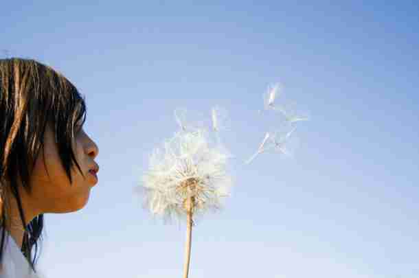 Innovatiemanagement­modellenboek Innovatiemanagementmodellenboek