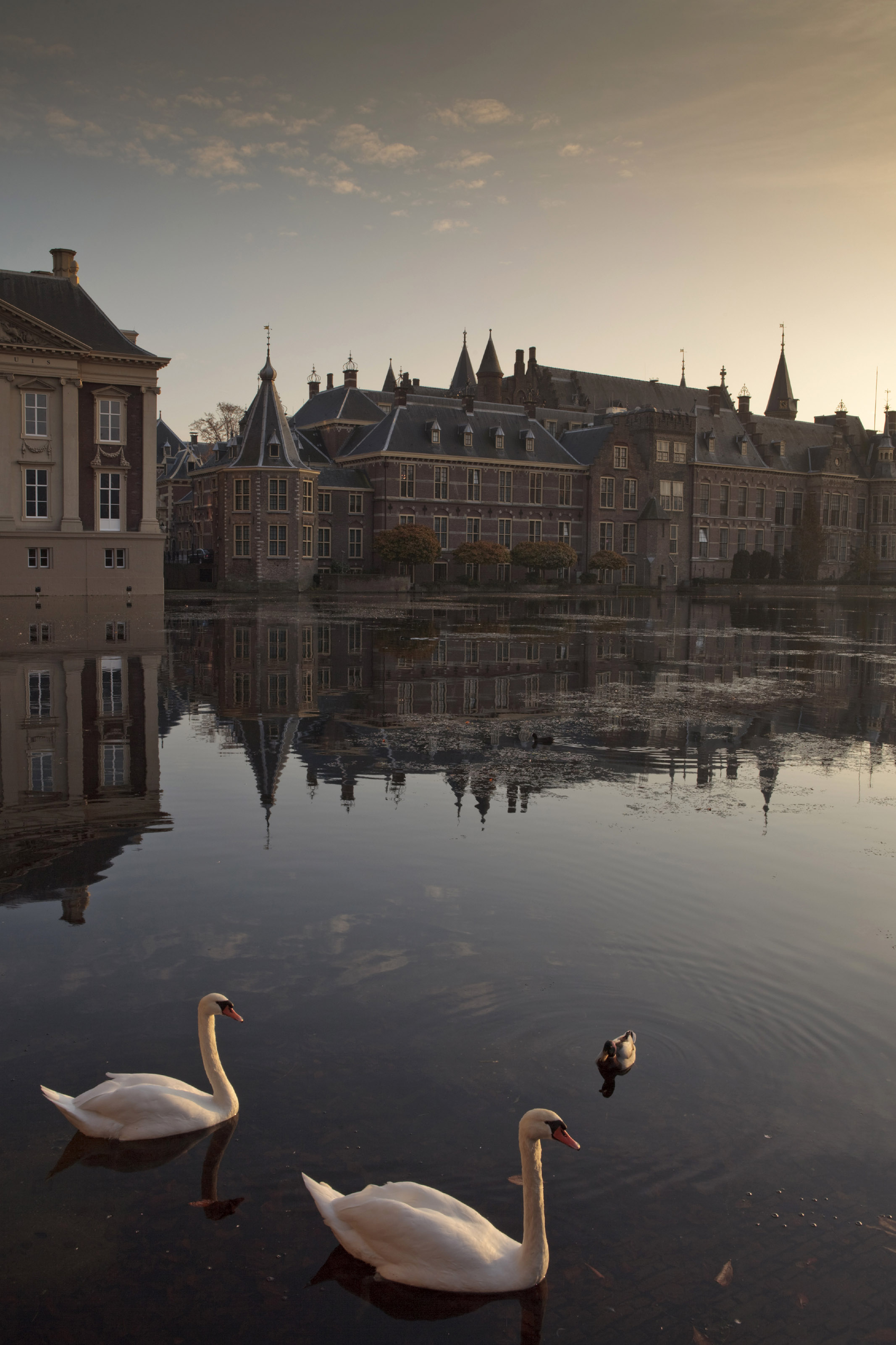 Het belang van een rijksvisie op de regio