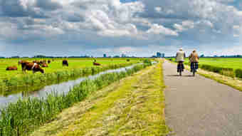 Afbeelding - Berenschot onderzoekt natuurtaken en -middelen van provincies
