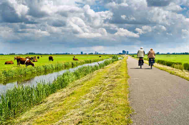 Berenschot onderzoekt natuurtaken en -middelen van provincies