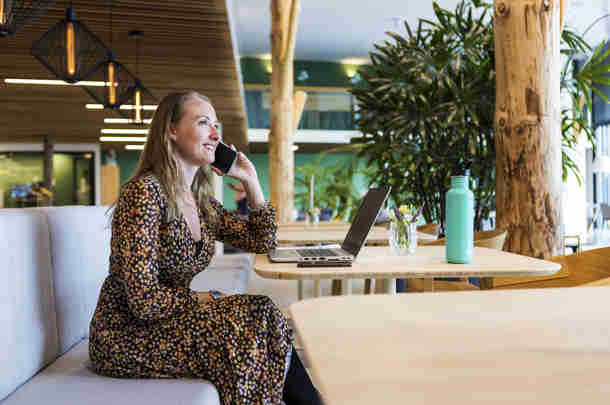 Senior publieke fixer