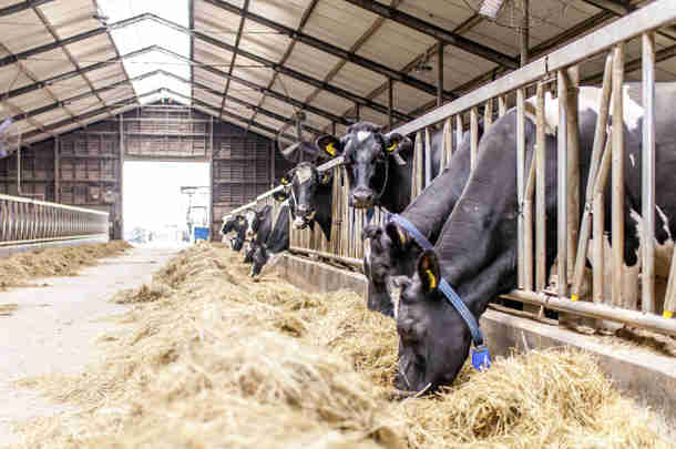 Linking ETS3 to ETS1: impact on emission reduction and finances