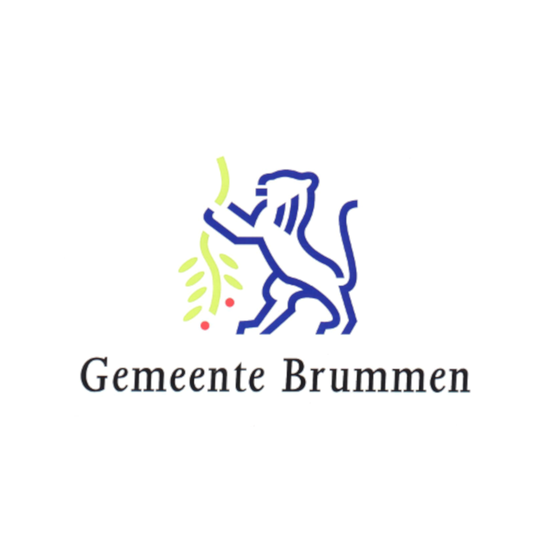 Logo gemeente Brummen