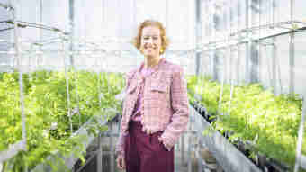 Afbeelding - Rijk Zwaan: ‘Uiteindelijk maken mensen met elkaar de organisatie’ 