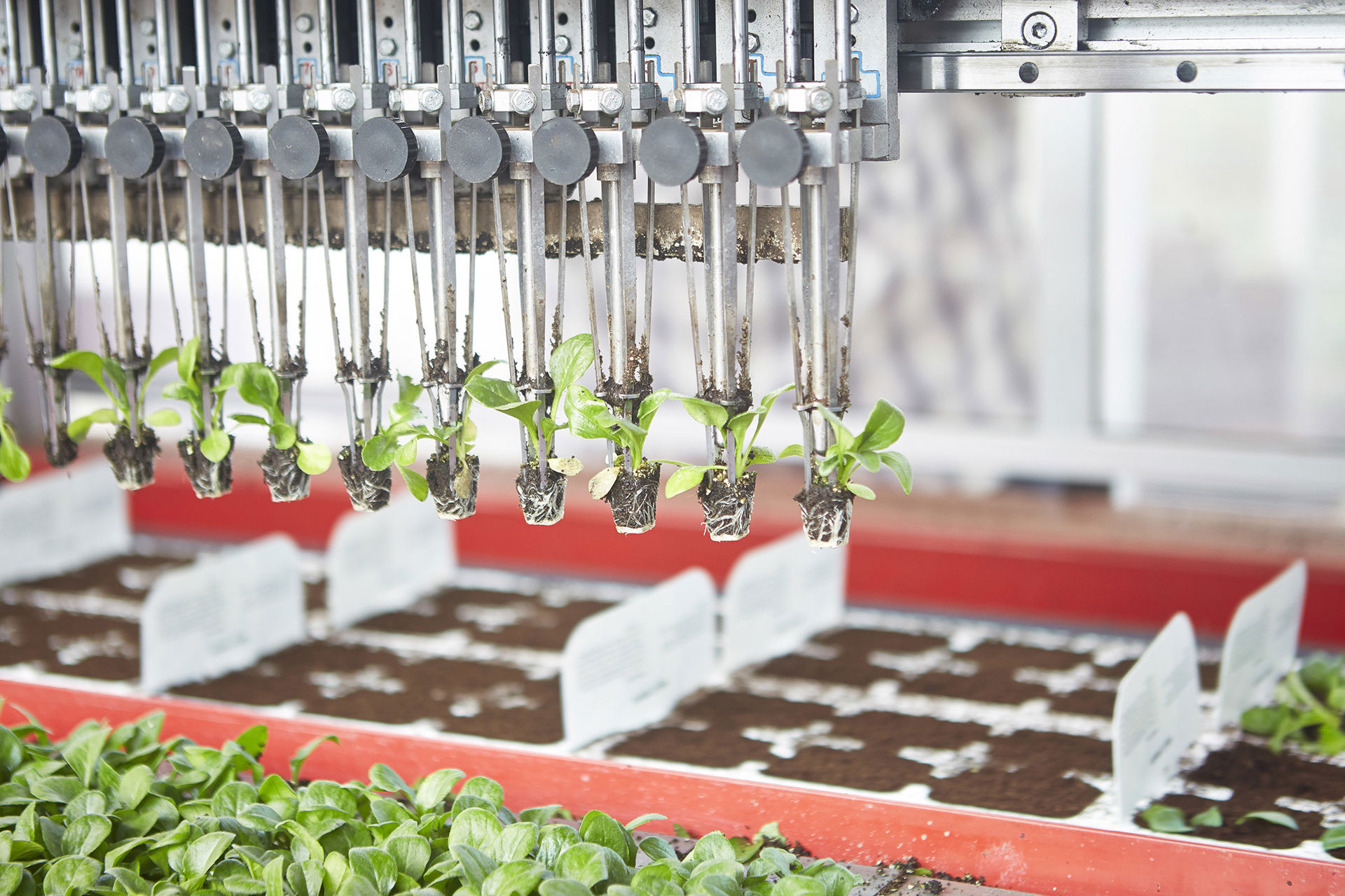 AgroBots: techneut en teler samen aan de slag voor  toekomstbestendige teelt