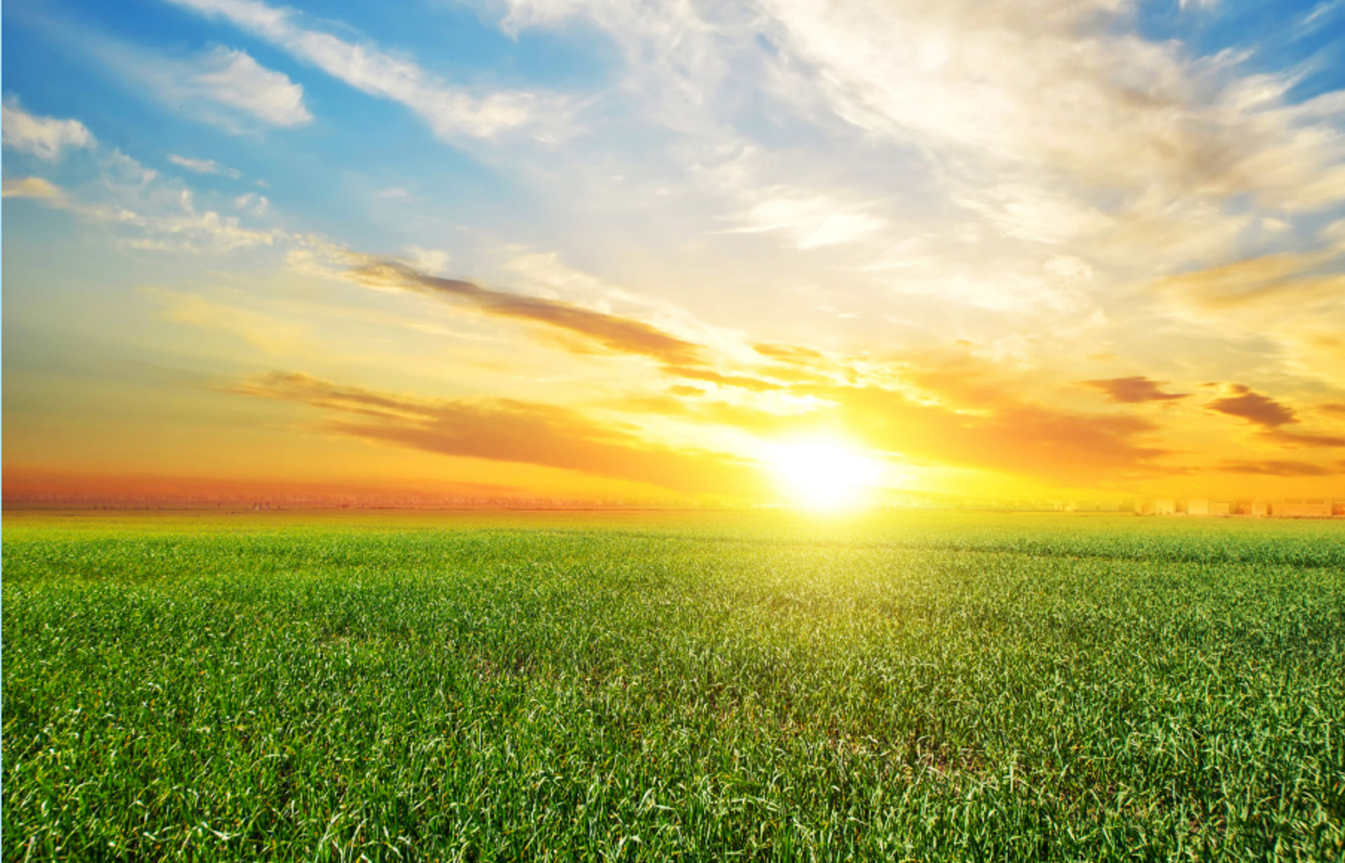 Nieuw warmtescenario door Berenschot