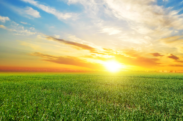 Wat voor klimaatbeleid willen Nederlanders? Wat voor klimaatbeleid willen Nederlanders?