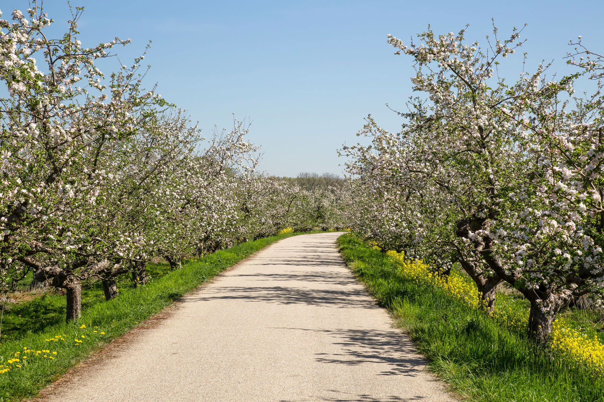 Berenschot ondersteunde raadsenquête Floriade 