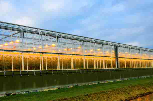 Verlichte tuinbouwkassen op het land van een van de partners van het netwerk smart horticulture